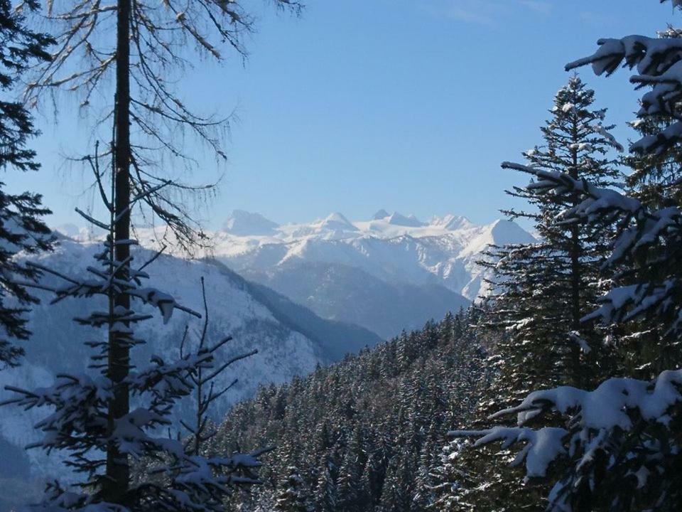 Sportpension Schober โอเบอร์ทราวน์ ภายนอก รูปภาพ