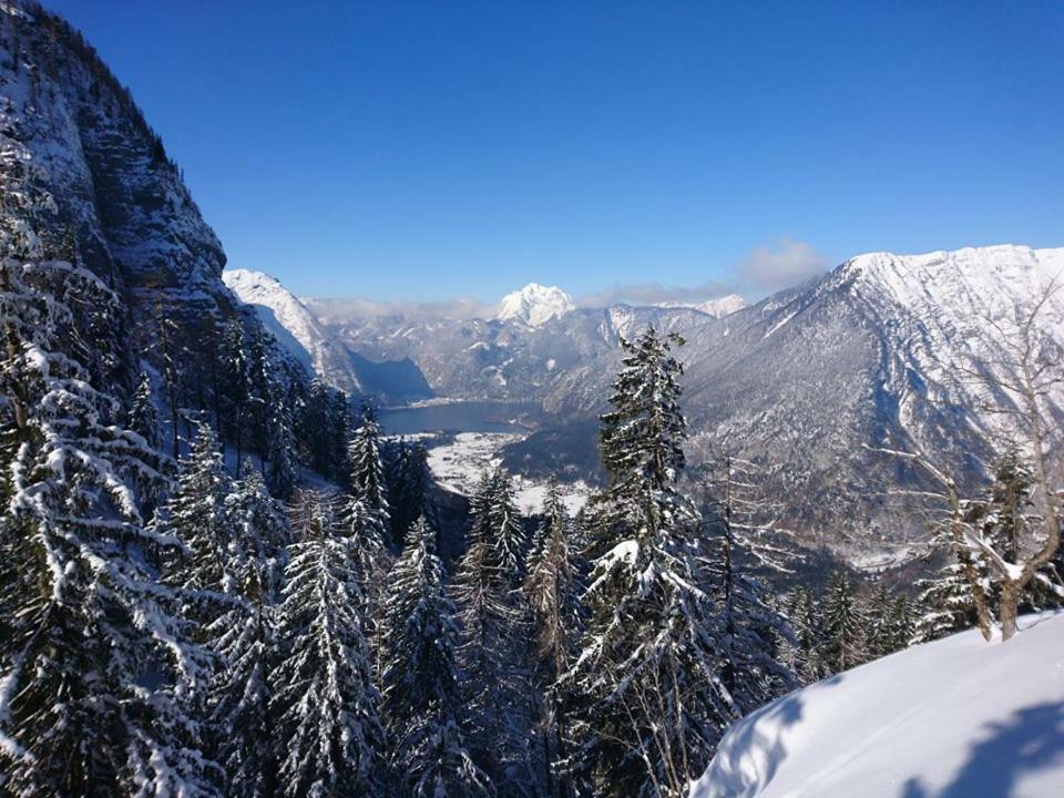 Sportpension Schober โอเบอร์ทราวน์ ภายนอก รูปภาพ